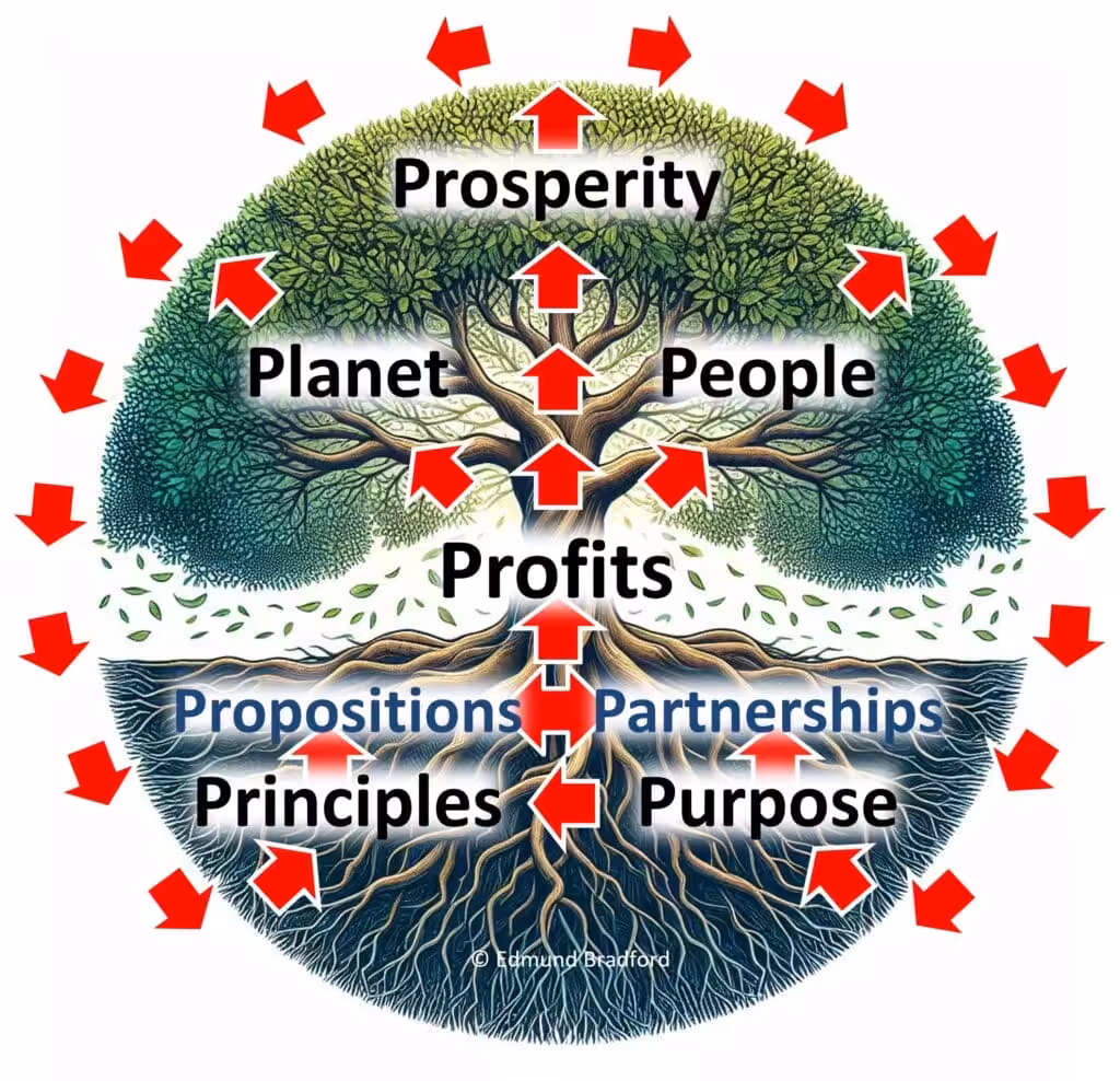 8P Model by Edmund Bradford growth system | A different way to see business growth